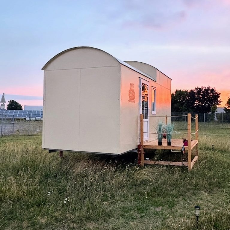 Einfarbiges Tiny House mit Runddach auf Blumenwiese.